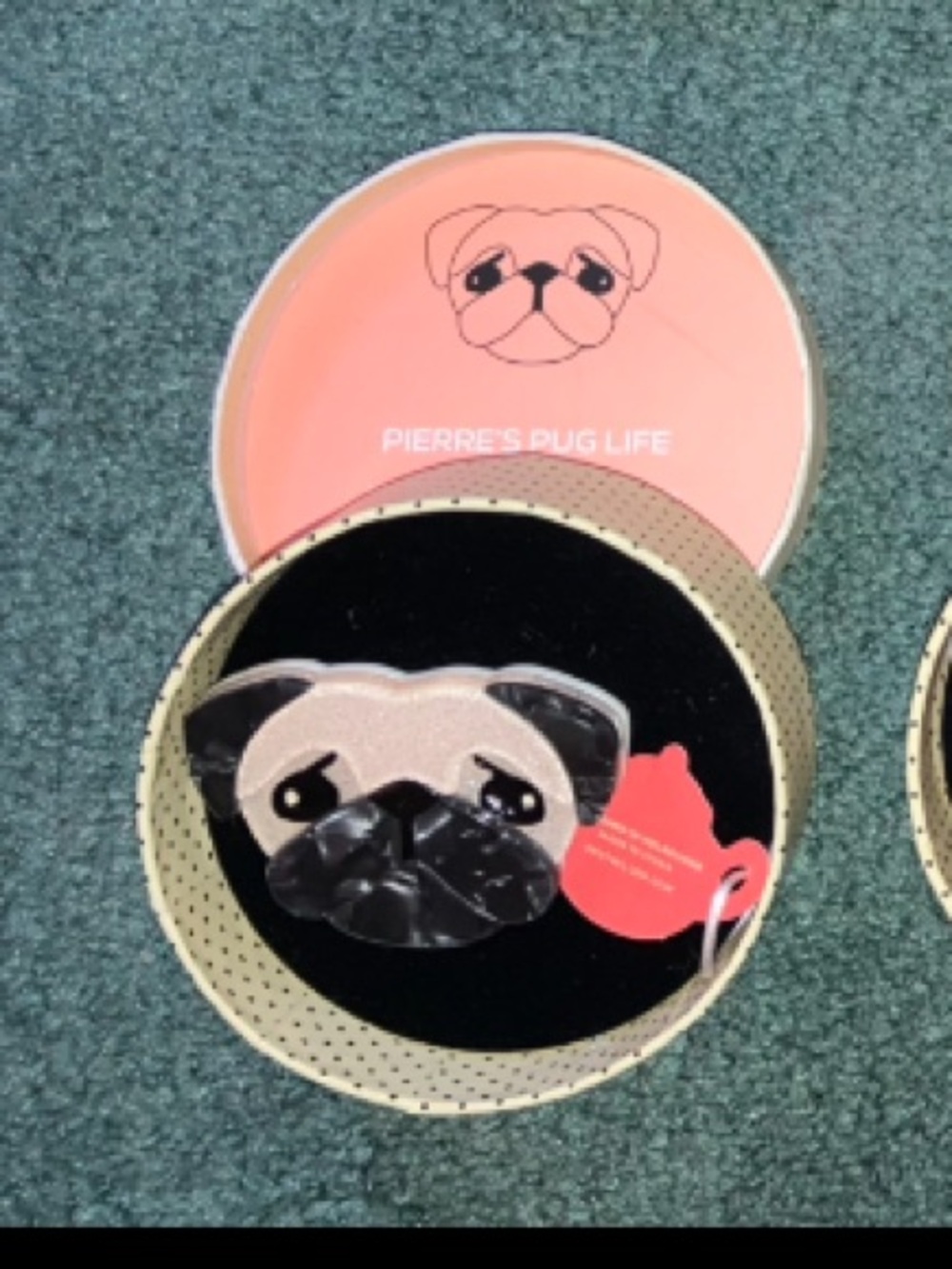 Erstwilder pug brooch